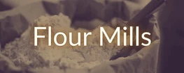 Saideep vibratory and magnetic equipment for the food, grain and milling sector