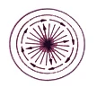 Circular vibro screen material flow pattern 1 — top-weight and bottom-weight setting