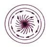Circular vibro screen material flow pattern 2 — top-weight and bottom-weight setting
