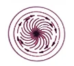 Circular vibro screen material flow pattern 3 — top-weight and bottom-weight setting